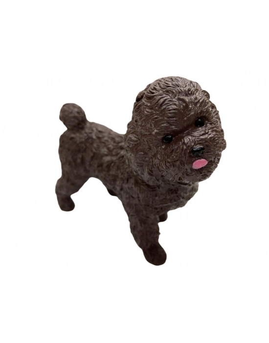 Soft Köpekler - Poodle Cinsi Köpek - E013