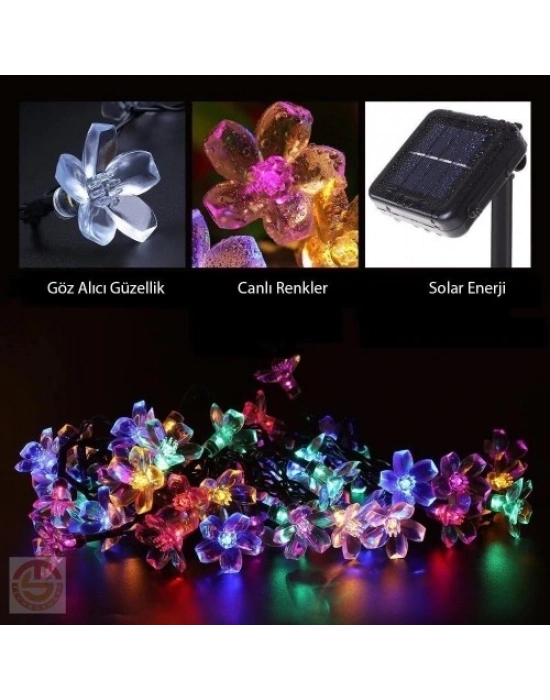 Solar 30 Ledli Çiçekli RGB Güneş Enerjisi