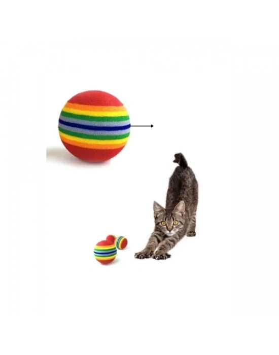 Sünger Kedi Köpek Çiğneme Ve Oyun Topu 4 Adet