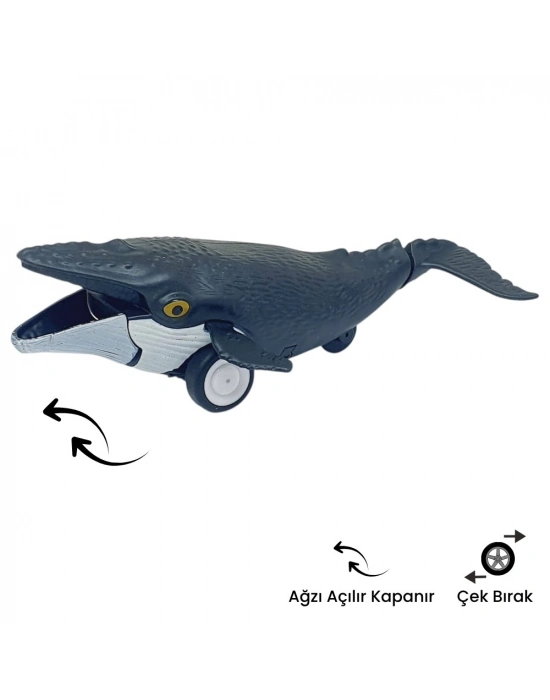 Sürtmeli Hayvanlar 2li - Yunus Balığı Ve Balina