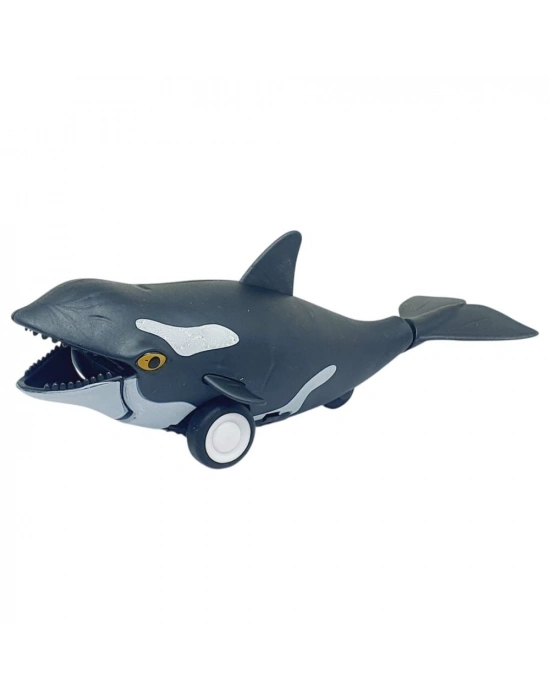 Sürtmeli Hayvanlar Serisi - H-53 - Orka Balina