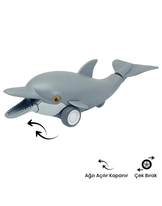 Sürtmeli Hayvanlar Serisi - H-53 - Yunus Balığı