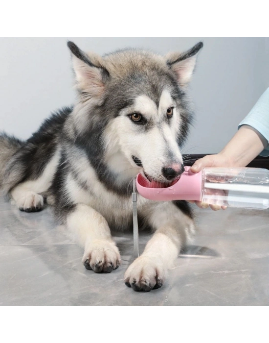 ®  Taşınabilir Evcil Hayvan Suluğu Seyahat Kabı Kilitlenebilen Su Sızdırmaz Kap 350 ml