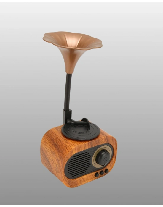 Taşınabilir Mini Retro Radyo Bluetooth Hoparlör USB SD AUX Destekli