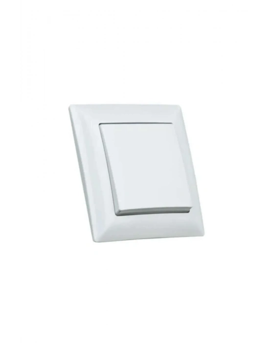 Tekli Sıva İçi Anahtar Royaleks-68139