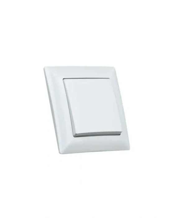 Tekli Sıva İçi Anahtar Royaleks-68139