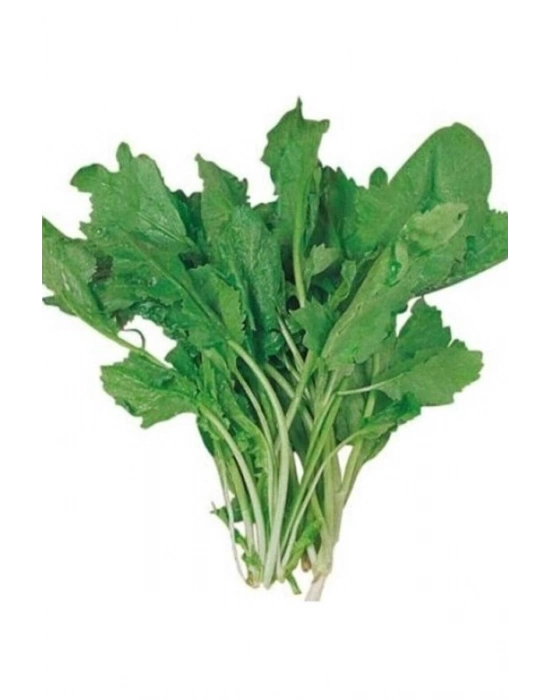 Tere Tohumu 10 Gr