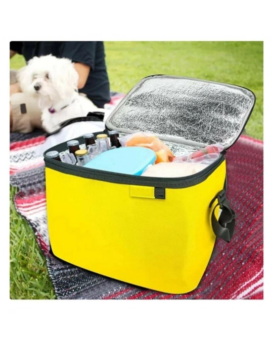 Termos Çanta - Piknik Çantası Buz Aküsü Hediyeli 40lt