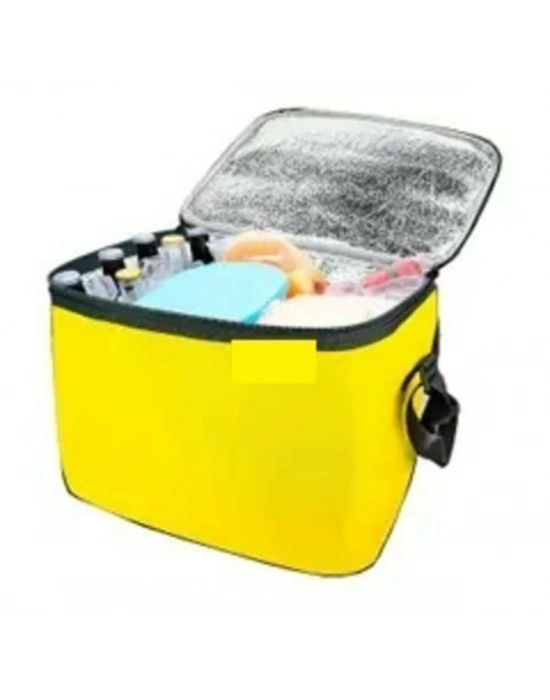 Termos Çanta - Piknik Çantası Buz Aküsü Hediyeli 40lt