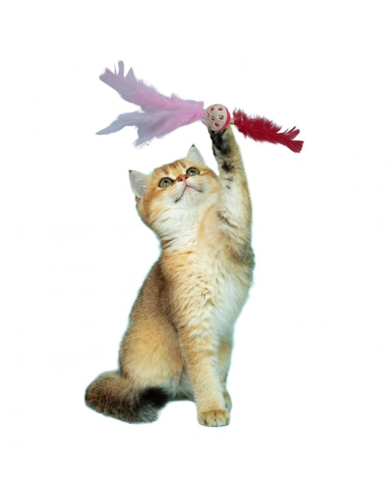 ® Tüylü PüsküllüKedi OyuncağıDikkat Çekici Renkli Sevimli Evcil Hayvan Oyuncağı