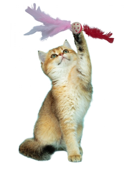 ® Tüylü PüsküllüKedi OyuncağıDikkat Çekici Renkli Sevimli Evcil Hayvan Oyuncağı