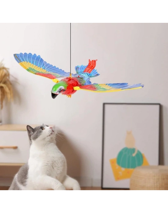 Uçan Papağan Kedi Oyuncağı