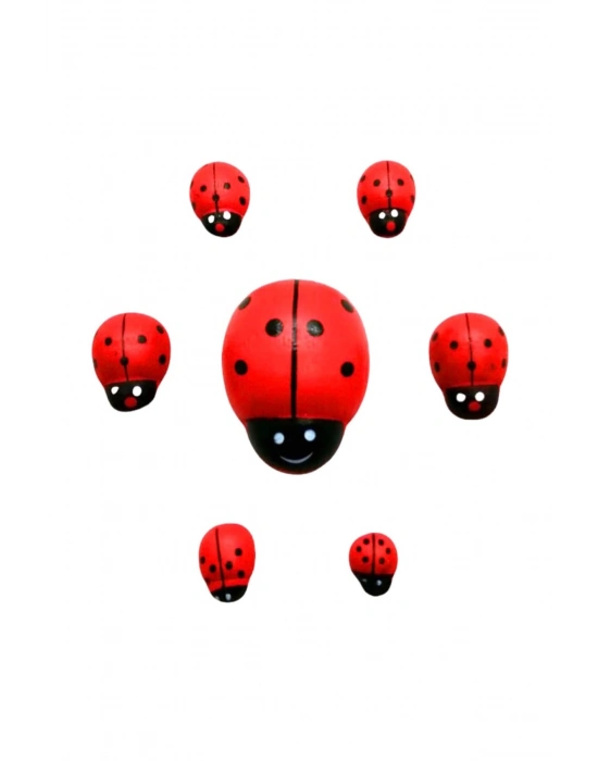 Uğur Böceği Dolap Süsü 7li Royaleks-ALK-130