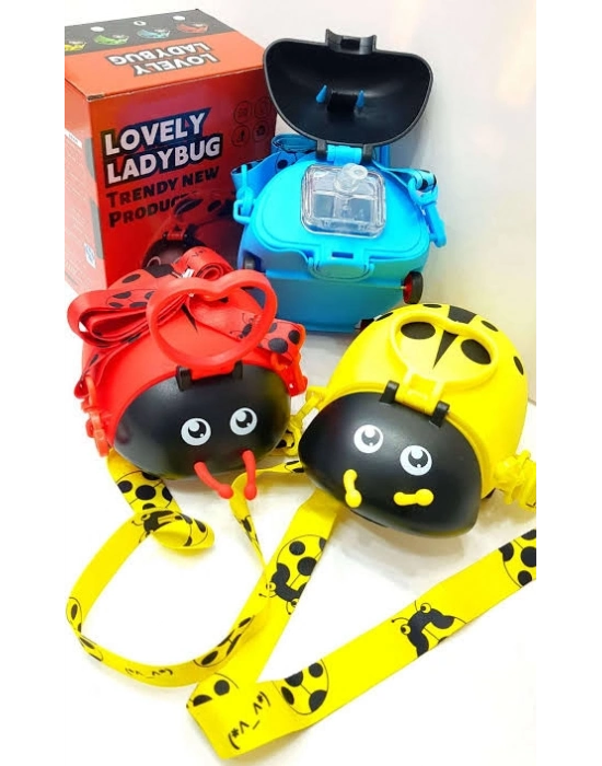 Uğur Böceği Su Matarası