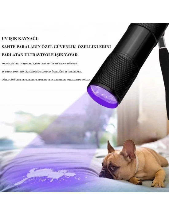 Ultraviole Para Kontrol Işığı Wt-302