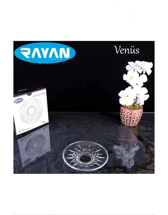 Venüs Çay Tabağı 6lı Royaleks-81731