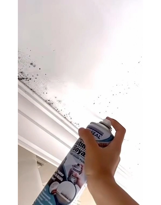 Vodaseal Anti Küf Yalıtım Boyası Sprey 500 ml