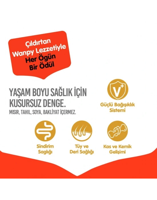 Wanpy Tavuklu Tahılsız Yetişkin Köpek Maması 1.5 Kg