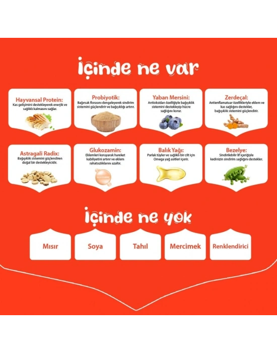 Wanpy Tavuklu Tahılsız Yetişkin Köpek Maması 1.5 Kg