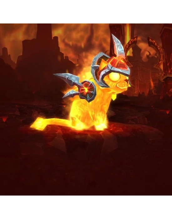 World of Warcraft Cinder Kitten