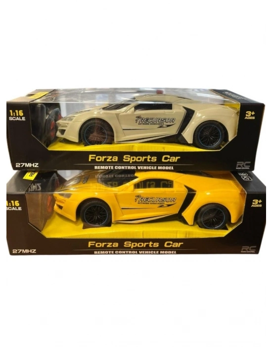 ® XSH-10A/11A ŞARJLI KUMANDALI ARABA-CN