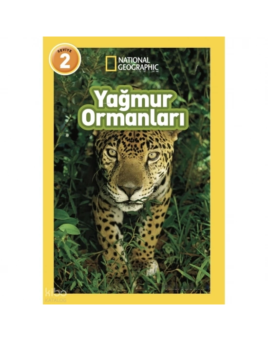 Yağmur Ormanları