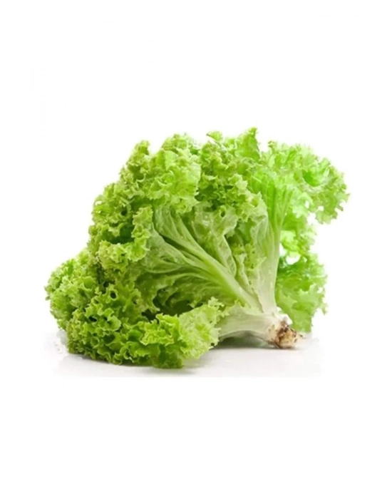 Yazlık Kıvırcık Marul Tohumu 10 Gr