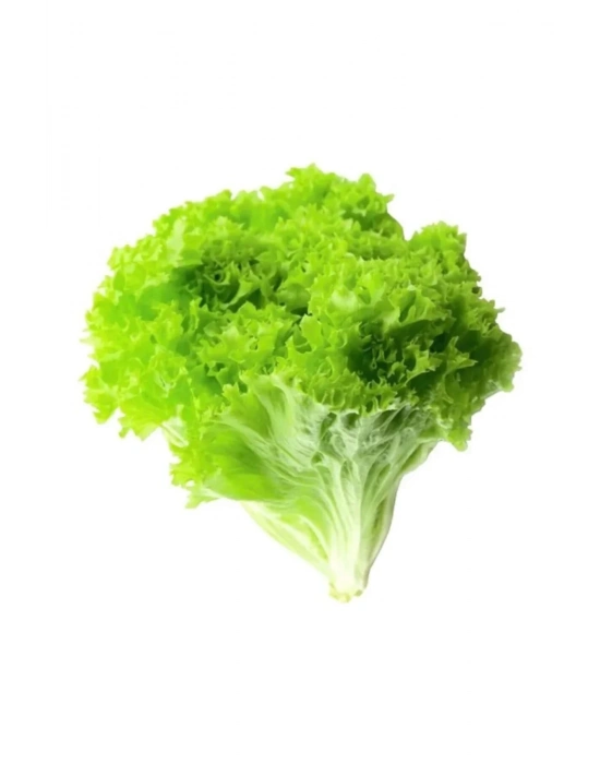 Yazlık Kıvırcık Marul Tohumu 10 Gr