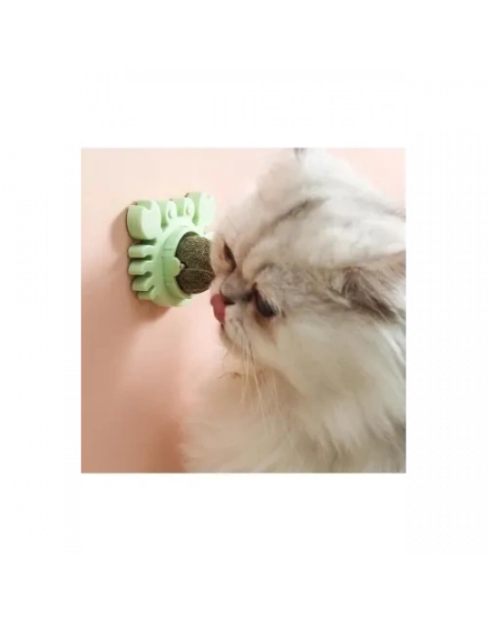 Yengeç Kedi Otu Oyun Topu