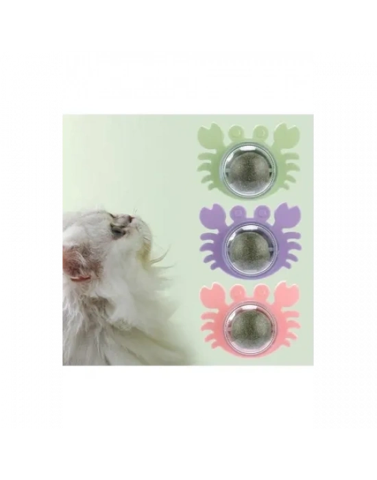 Yengeç Kedi Otu Oyun Topu