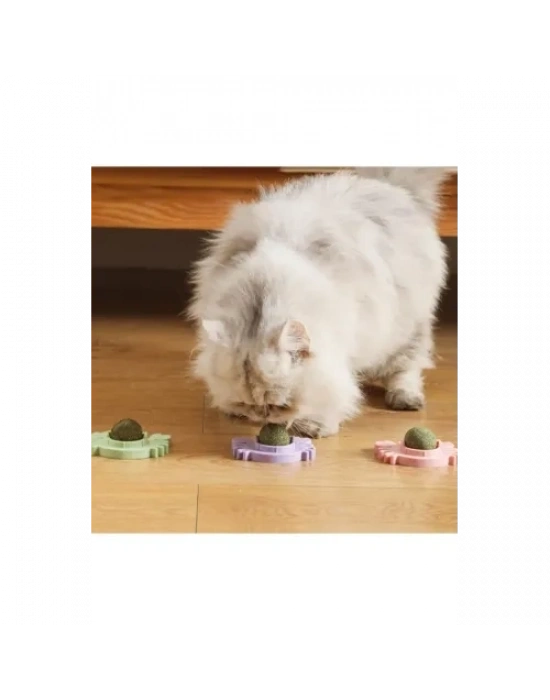 Yengeç Kedi Otu Oyun Topu