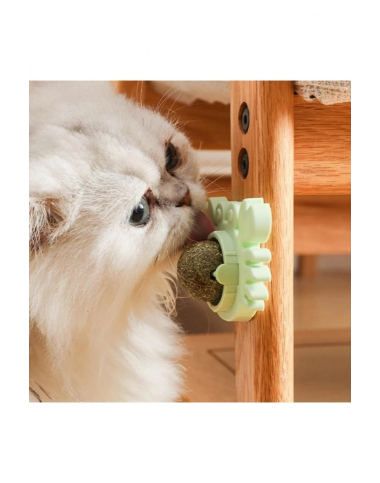 Yengeç Kedi Otu Oyun Topu