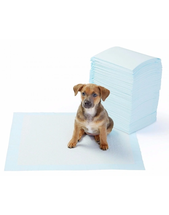 Yıkanabilir Köpek Çiş Pedi - 100 X 100 Cm