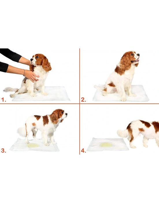 Yıkanabilir Köpek Çiş Pedi - 90 X 60 Cm 5li Paket