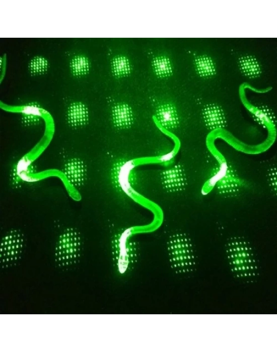 Yılan Kırkayak Şaka Oyuncağı 36 Adet