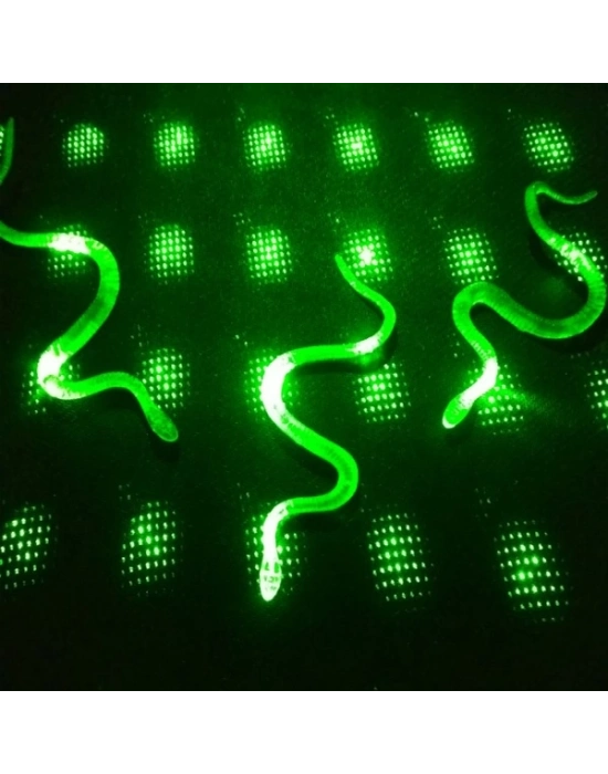 Yılan Kırkayak Şaka Oyuncağı 36 Adet