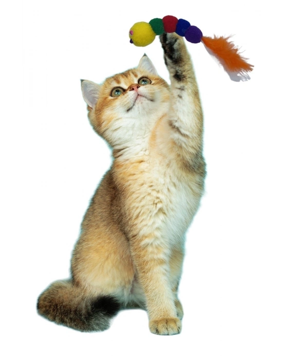 ®  Yumuşacık İpli Tırtıl Şeklinde Rengarenk Sevimli Evcil Hayvan Oyuncağı