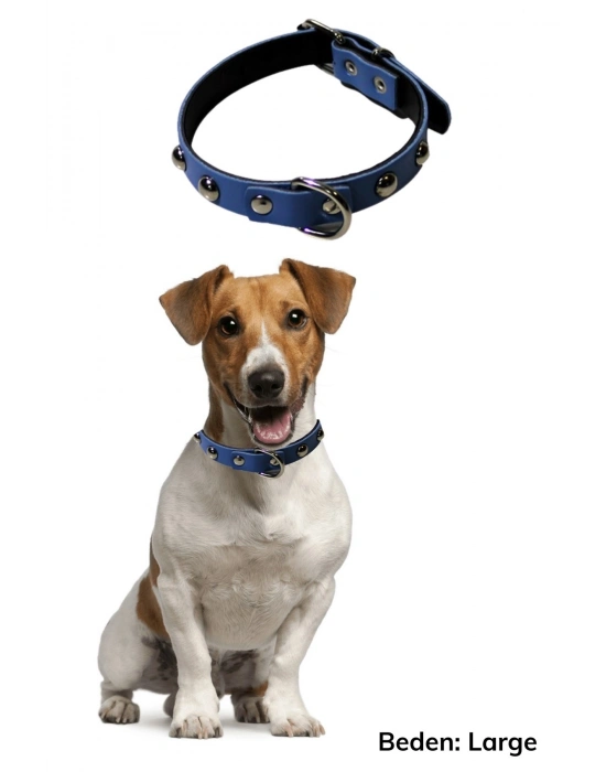 ®  Yumuşak Dokulu Deri Köpek Gezdirme Boyun Tasması (Large)