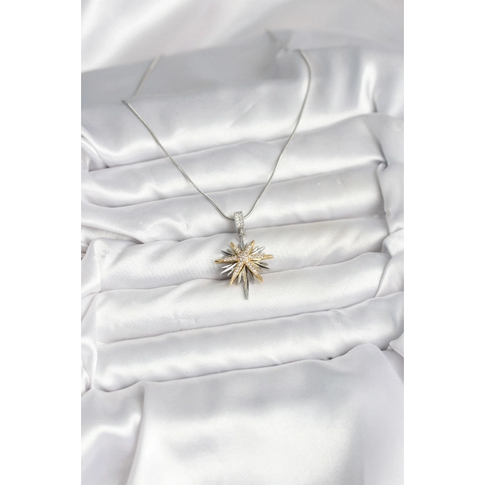 316L Çelik Zincir Gümüş Renk Kutup Yıldızı Model Kadın Kolye