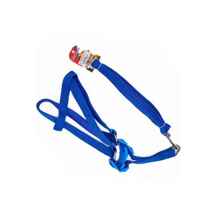 Euro Dog Köpek Uzatma Tasması ve Göğüs Tasması Takımı Mavi 20 Mm 120 Cm