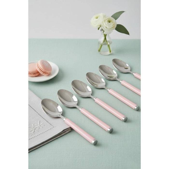 6’lı Paslanmaz Çelik Tatlı Kaşığı Seti Somon Pembe Saplı 15 cm