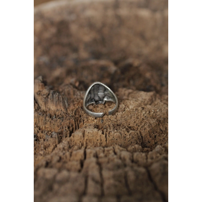 Ayarlanabilir Motifli Kuru Kafa Tasarımlı Erkek Yüzük