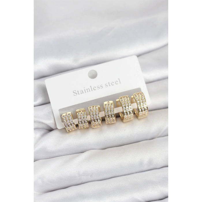 BFS 316L Çelik Zirkon Taşlı Gold Halka Küpe Seti
