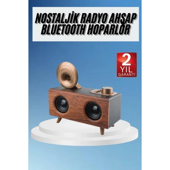 BFS Gramafon Radyo Bluetooth Hoparlör Nostaljik Radyo FM Radyo