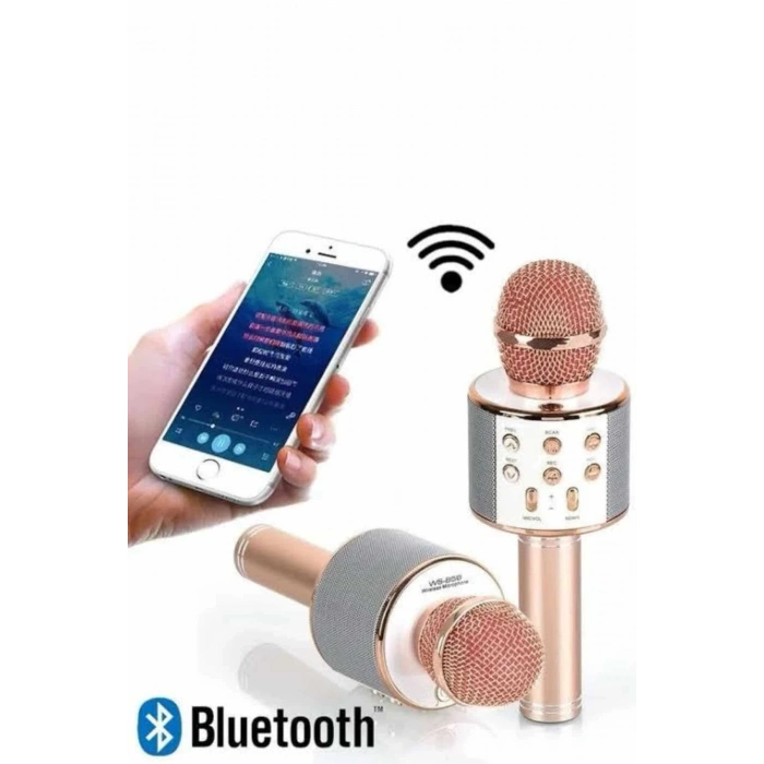 BFS Karaoke Mikrofon Dahili Hoparlörlü Sd-usb-aux Girişli Bluetooth Hoparlör