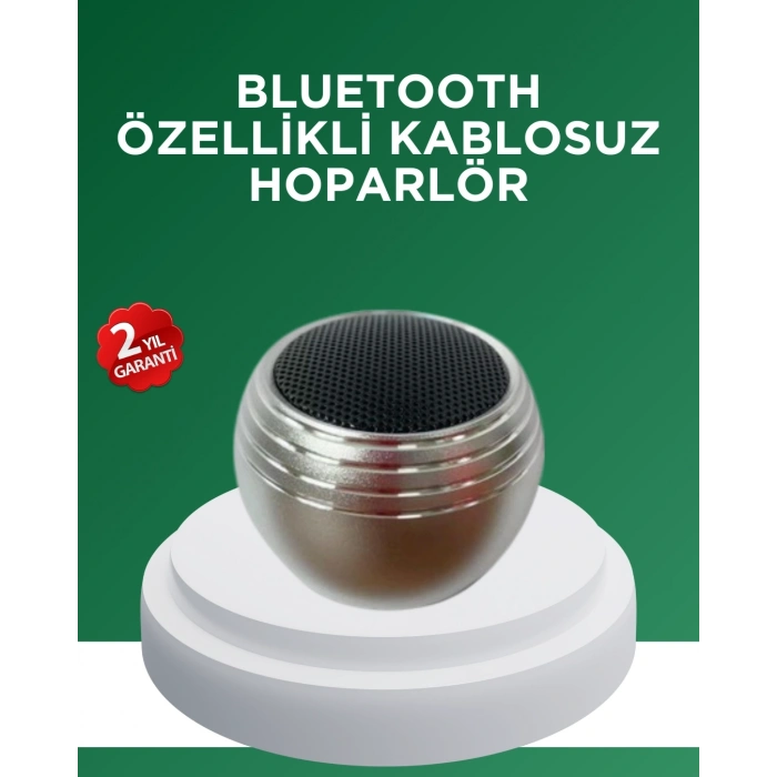 BFS Mini Bluetooth Hoparlör TWS Özellikli Taşınabilir Güçlü Ses
