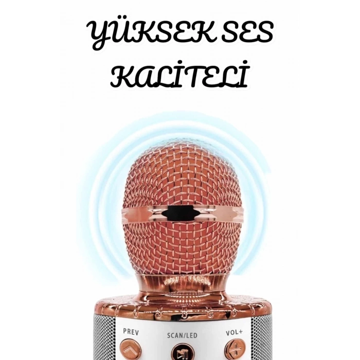 BFS Şarjlı ve Uzun Pil Ömürlü Karaoke Mikrofon USB Bellek Destekli, Profesyonel Ses