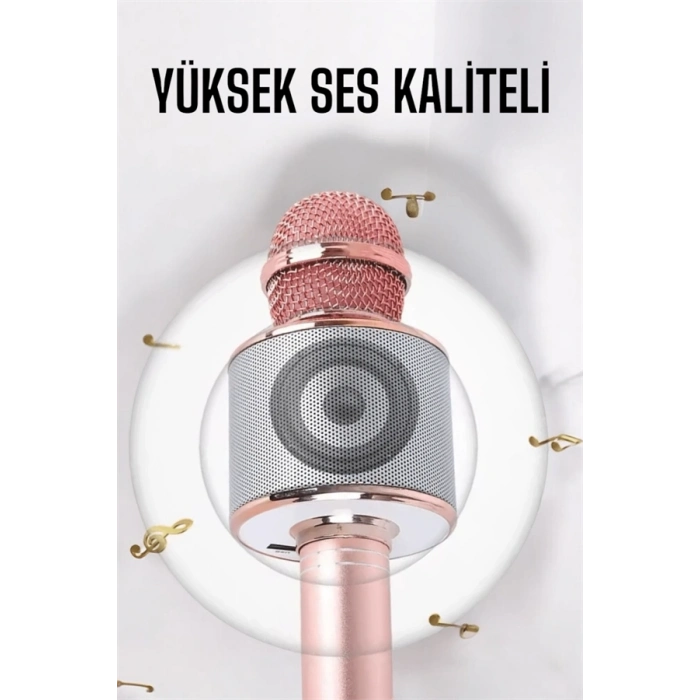 BFS Taşınabilir Bluetooth Karaoke Mikrofon: Hafıza Kart Girişli, Etkileyici Performans