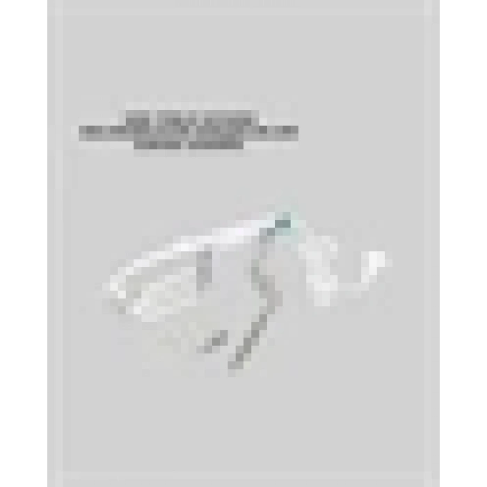 BFS Taşınabilir Buharlı Ütü 1500W | Giysilerde Yanık Bırakmaz, Kokuyu Giderir