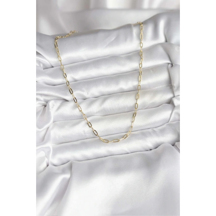 14K Gold Renk Kaplama Ataç Zincir Model CM Kadın Kolye